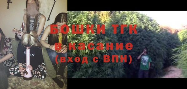 прущие грибы Нея