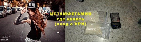 прущие грибы Нея
