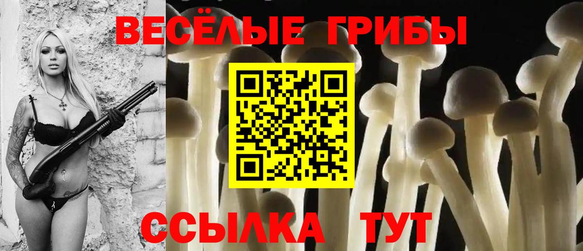 Галлюциногенные грибы MAGIC MUSHROOMS Нягань
